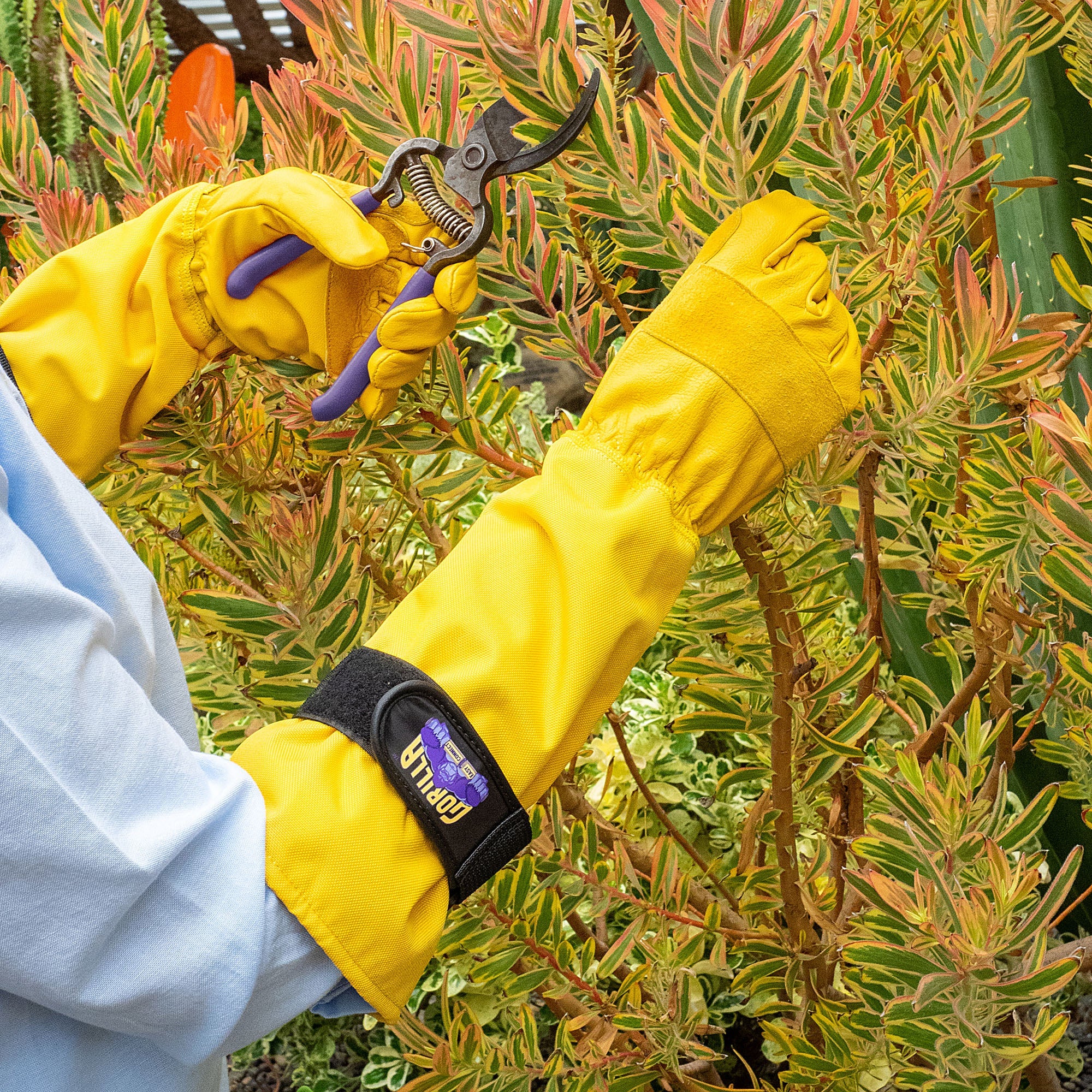 Why Every Gardener Needs a Pair of High-Quality Gardening Gloves