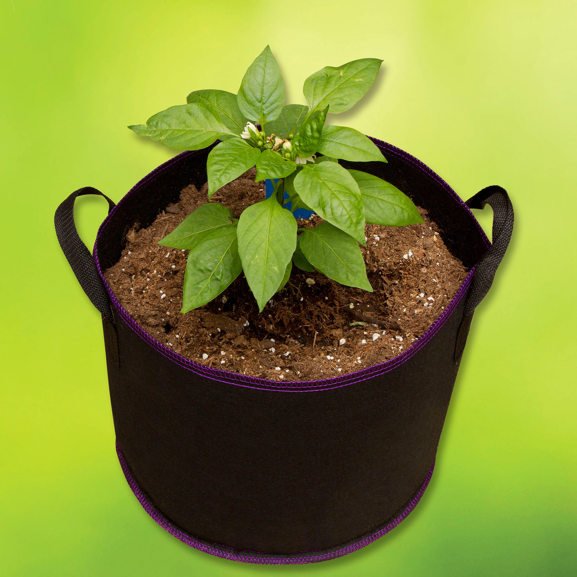 Plant Bags 20 Gallon GoillaGow Tent Goilla 20 Gallon Fabic Gow