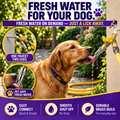 Gorilla Easy Connect 2-Way Brass Garden Hose Splitter Kit with Shut-Off Valves, QMM-2 Quick Connectors and Automatic Dog Watering Faucet for 3/4-Inch GHT Spigots.